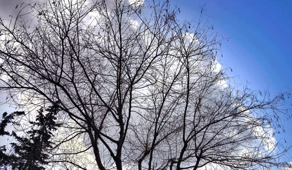 Κατεβαίνει σιβηρικό ψύχος στην Ελλάδα – Τι λένε οι Ιταλοί